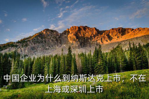 中國企業(yè)為什么到納斯達(dá)克上市，不在上?；蛏钲谏鲜? class=