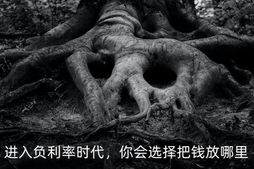 進入負利率時代，你會選擇把錢放哪里
