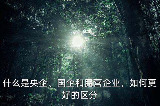 什么是央企、國企和民營企業(yè)，如何更好的區(qū)分