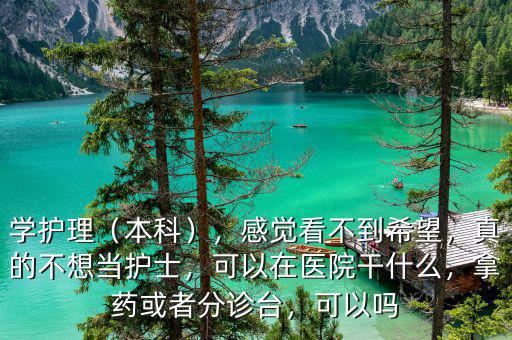 學(xué)護(hù)理（本科），感覺看不到希望，真的不想當(dāng)護(hù)士，可以在醫(yī)院干什么，拿藥或者分診臺，可以嗎