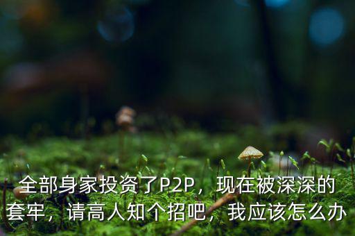 全部身家投資了P2P，現(xiàn)在被深深的套牢，請高人知個招吧，我應該怎么辦