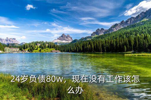 24歲負(fù)債80w，現(xiàn)在沒(méi)有工作該怎么辦
