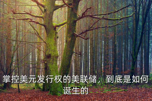 掌控美元發(fā)行權的美聯(lián)儲，到底是如何誕生的