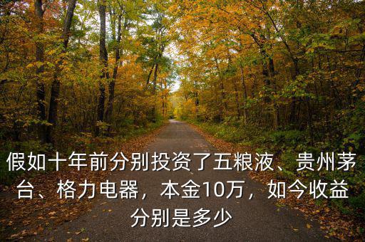 假如十年前分別投資了五糧液、貴州茅臺(tái)、格力電器，本金10萬(wàn)，如今收益分別是多少
