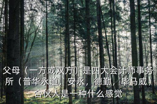 父母（一方或雙方）是四大會計師事務所（普華永道，安永，德勤，畢馬威）合伙人是一種什么感覺
