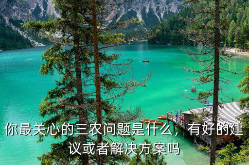 你最關(guān)心的三農(nóng)問(wèn)題是什么，有好的建議或者解決方案嗎