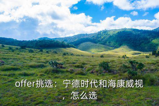 ?？低曔@家公司怎么樣,寧德時代和海康威視