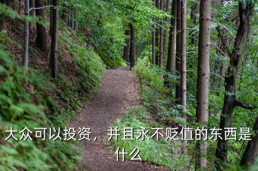 大眾可以投資，并且永不貶值的東西是什么