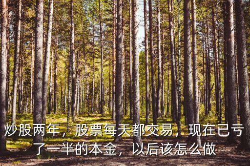炒股兩年，股票每天都交易，現(xiàn)在已虧了一半的本金，以后該怎么做