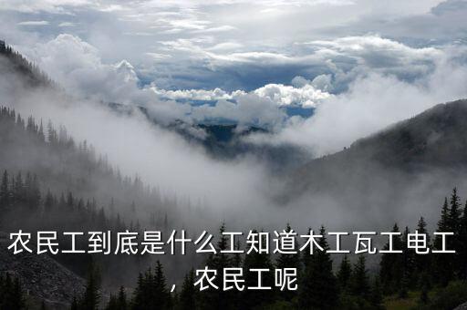 農(nóng)民工到底是什么工知道木工瓦工電工，農(nóng)民工呢