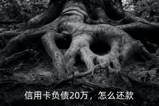信用卡負(fù)債20萬(wàn)，怎么還款