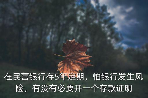 在民營銀行存5年定期，怕銀行發(fā)生風險，有沒有必要開一個存款證明
