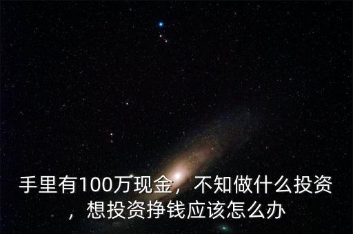 手里有100萬現(xiàn)金，不知做什么投資，想投資掙錢應該怎么辦