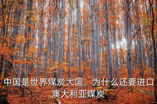 中國(guó)是世界煤炭大國(guó)，為什么還要進(jìn)口澳大利亞煤炭