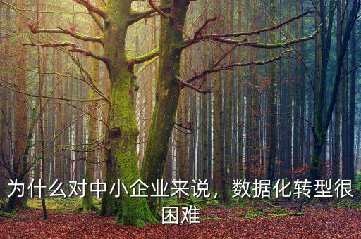 為什么對(duì)中小企業(yè)來(lái)說(shuō)，數(shù)據(jù)化轉(zhuǎn)型很困難