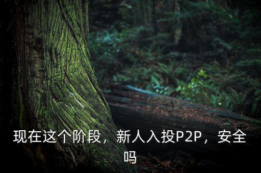 現(xiàn)在這個(gè)階段，新人入投P2P，安全嗎