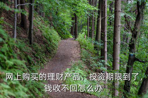 網(wǎng)上購買的理財(cái)產(chǎn)品，投資期限到了，錢收不回怎么辦