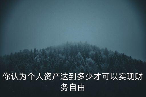 你認(rèn)為個人資產(chǎn)達(dá)到多少才可以實現(xiàn)財務(wù)自由