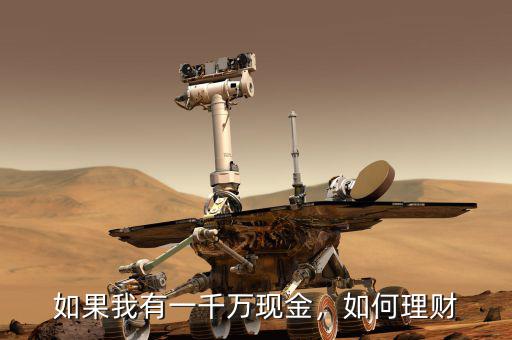 如果我有一千萬現(xiàn)金，如何理財