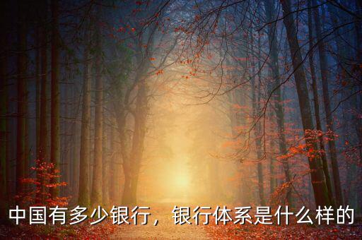 中國(guó)有多少銀行，銀行體系是什么樣的