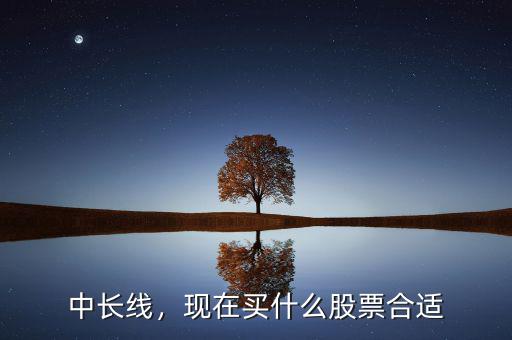 中長(zhǎng)線(xiàn)，現(xiàn)在買(mǎi)什么股票合適