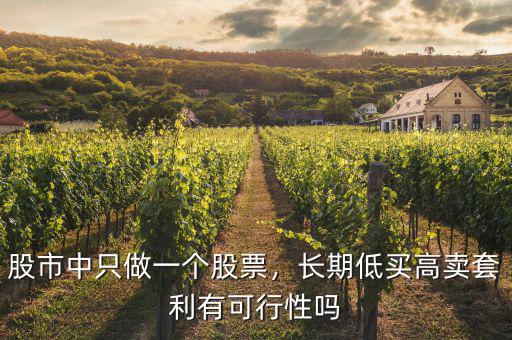 股市中只做一個股票，長期低買高賣套利有可行性嗎