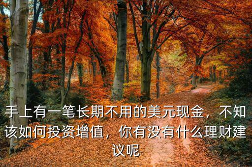 手上有一筆長期不用的美元現(xiàn)金，不知該如何投資增值，你有沒有什么理財建議呢