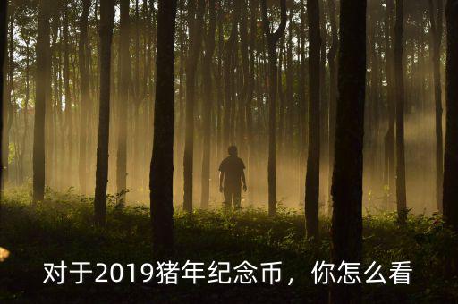 對于2019豬年紀(jì)念幣，你怎么看