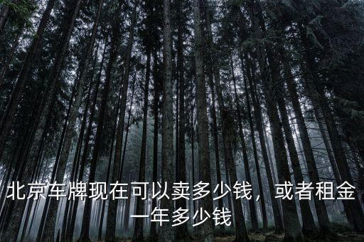 北京車牌現(xiàn)在可以賣多少錢，或者租金一年多少錢
