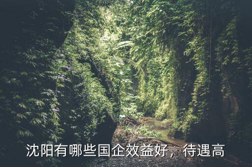 沈陽有哪些國企效益好，待遇高