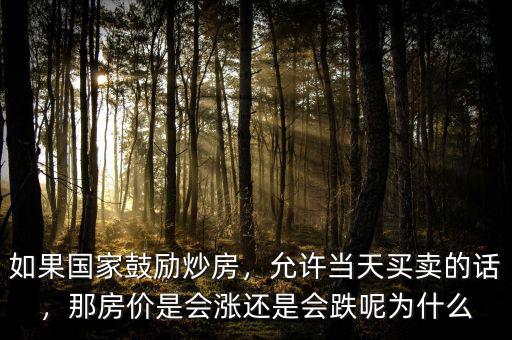 如果國家鼓勵炒房，允許當天買賣的話，那房價是會漲還是會跌呢為什么