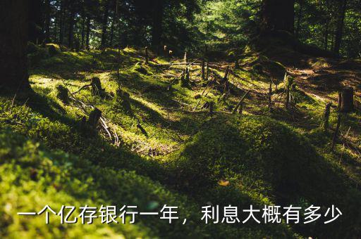一個(gè)億存銀行一年，利息大概有多少