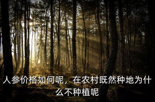 人參價格如何呢，在農(nóng)村既然種地為什么不種植呢