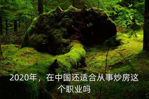 2020年，在中國還適合從事炒房這個職業(yè)嗎