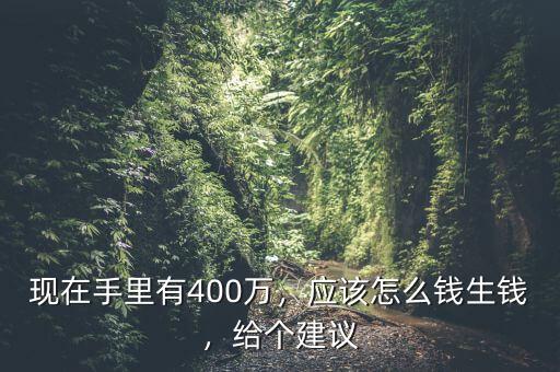 現(xiàn)在手里有400萬，應該怎么錢生錢，給個建議
