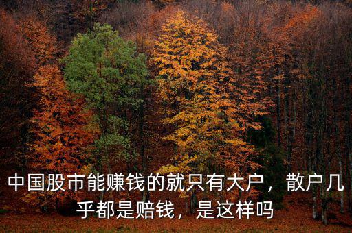 中國股市能賺錢的就只有大戶，散戶幾乎都是賠錢，是這樣嗎