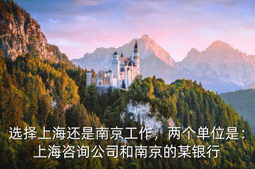 選擇上海還是南京工作，兩個單位是：上海咨詢公司和南京的某銀行