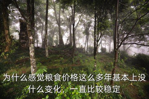 為什么感覺糧食價格這么多年基本上沒什么變化，一直比較穩(wěn)定