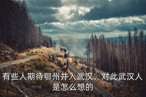 有些人期待鄂州并入武漢，對此武漢人是怎么想的