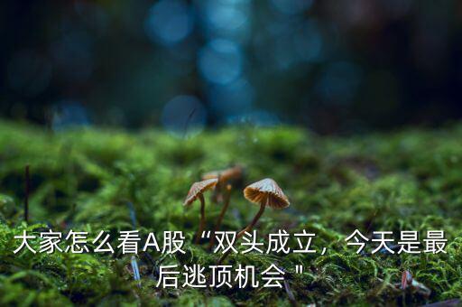 大家怎么看A股“雙頭成立，今天是最后逃頂機會＂