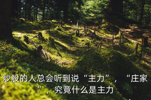 炒股的人總會聽到說“主力”，“莊家”，究竟什么是主力
