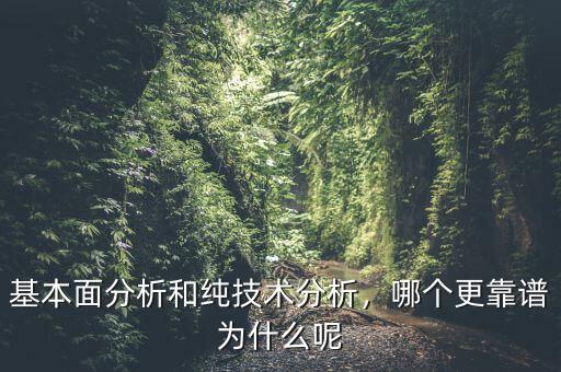 基本面分析和純技術(shù)分析，哪個(gè)更靠譜為什么呢