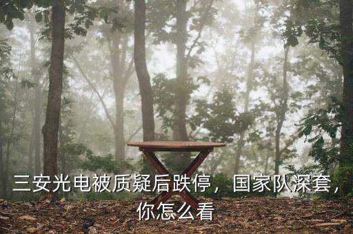 三安光電被質(zhì)疑后跌停，國家隊深套，你怎么看