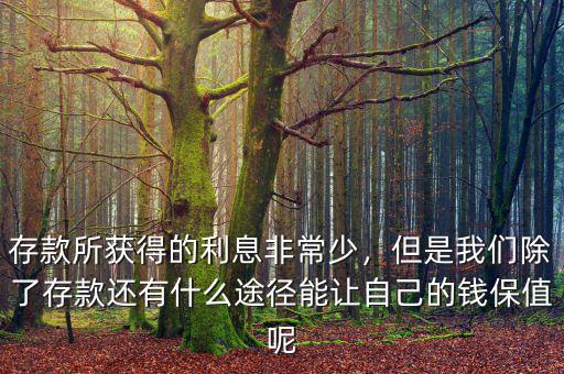 存款所獲得的利息非常少，但是我們除了存款還有什么途徑能讓自己的錢保值呢