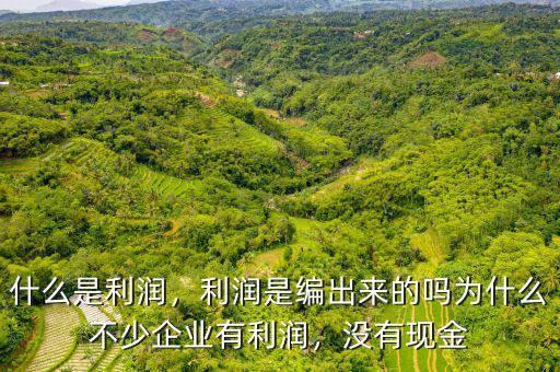 什么是利潤，利潤是編出來的嗎為什么不少企業(yè)有利潤，沒有現(xiàn)金