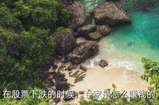 在股票下跌的時(shí)候，專(zhuān)家是怎么賺錢(qián)的