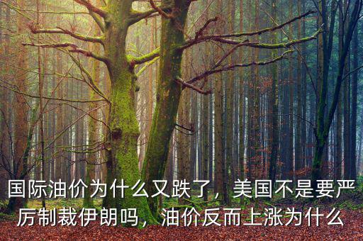 國際油價為什么又跌了，美國不是要嚴(yán)厲制裁伊朗嗎，油價反而上漲為什么