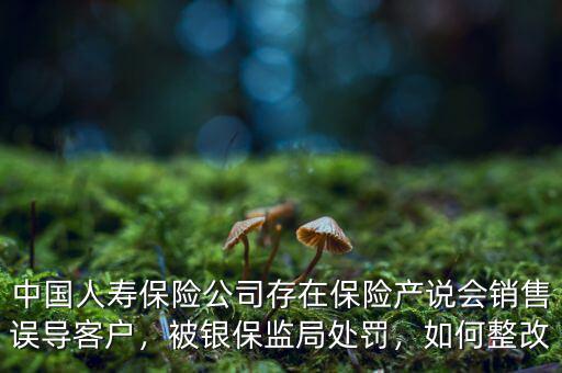 中國人壽保險公司存在保險產(chǎn)說會銷售誤導(dǎo)客戶，被銀保監(jiān)局處罰，如何整改