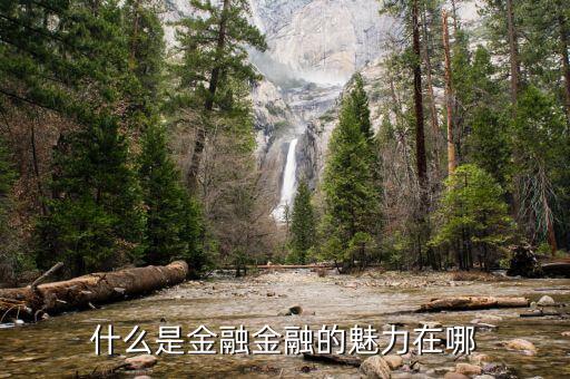 金融思維是什么,什么是行為金融學