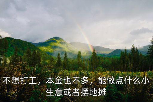 不想打工，本金也不多，能做點(diǎn)什么小生意或者擺地?cái)? class=